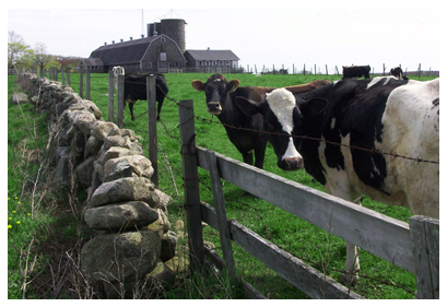 Nearby Attractions of the Stonehaven Family Farm
